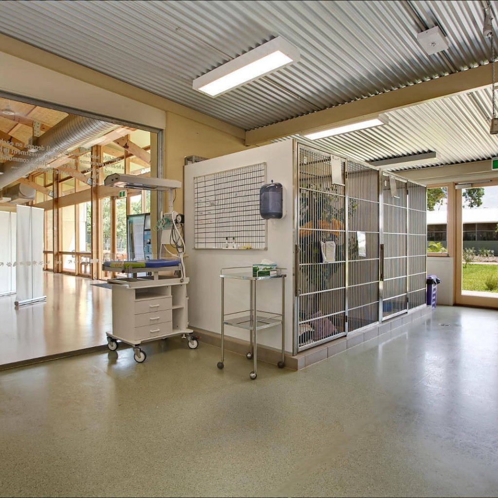 Australia Zoo Wildlife Hospital, Sunshine Coast, Queensland